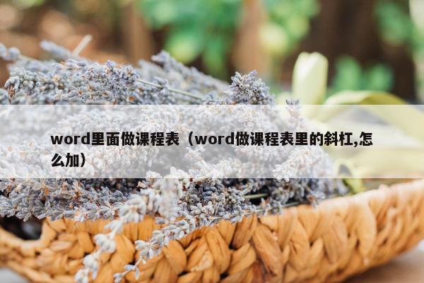 word里面做课程表（word做课程表里的斜杠,怎么加）
