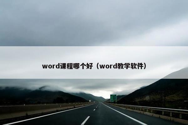 word课程哪个好（word教学软件）