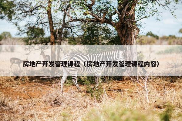 房地产开发管理课程（房地产开发管理课程内容）