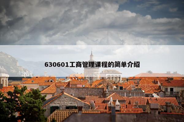 630601工商管理课程的简单介绍