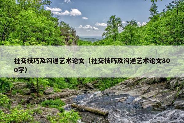 社交技巧及沟通艺术论文（社交技巧及沟通艺术论文800字）