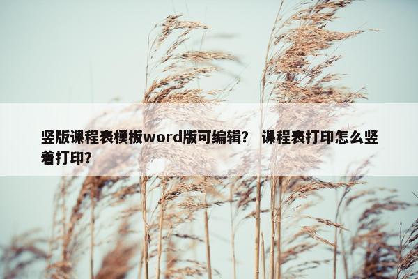 竖版课程表模板word版可编辑？ 课程表打印怎么竖着打印？