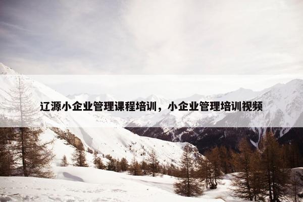 辽源小企业管理课程培训，小企业管理培训视频