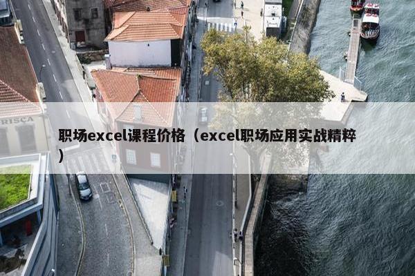 职场excel课程价格（excel职场应用实战精粹）