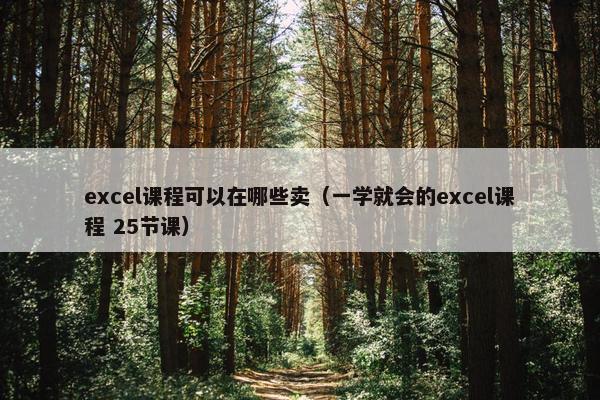 excel课程可以在哪些卖（一学就会的excel课程 25节课）