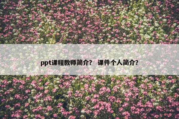 ppt课程教师简介？ 课件个人简介？