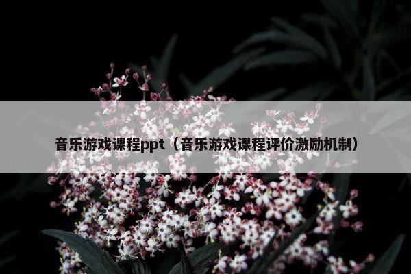 音乐游戏课程ppt（音乐游戏课程评价激励机制）
