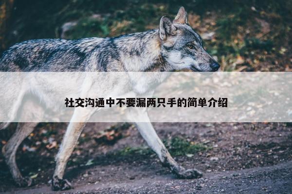 社交沟通中不要漏两只手的简单介绍