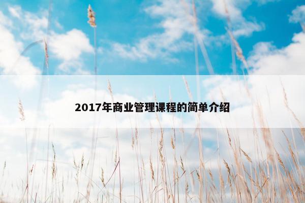 2017年商业管理课程的简单介绍