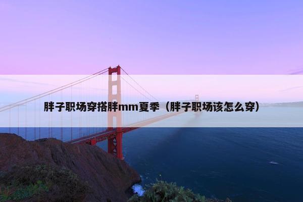 胖子职场穿搭胖mm夏季（胖子职场该怎么穿）