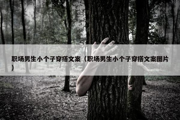 职场男生小个子穿搭文案（职场男生小个子穿搭文案图片）