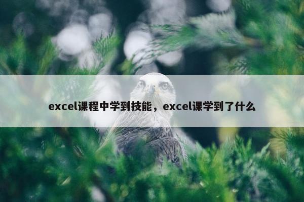 excel课程中学到技能，excel课学到了什么
