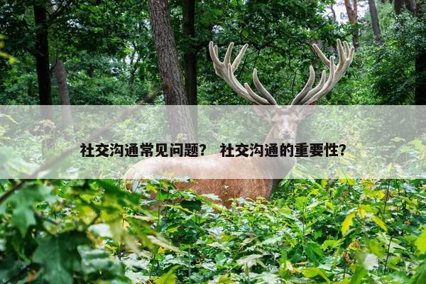 社交沟通常见问题？ 社交沟通的重要性？