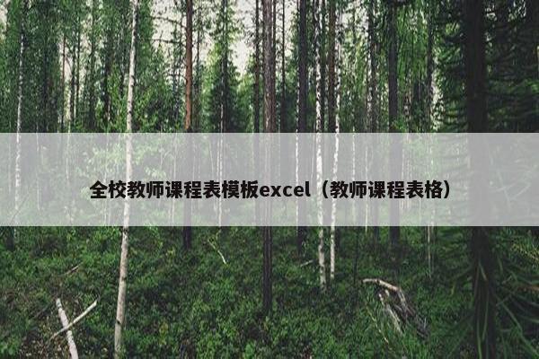 全校教师课程表模板excel（教师课程表格）