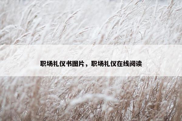 职场礼仪书图片，职场礼仪在线阅读