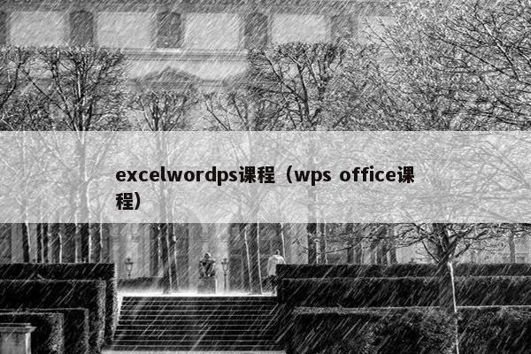 excelwordps课程（wps office课程）