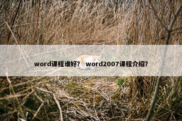 word课程谁好？ word2007课程介绍？