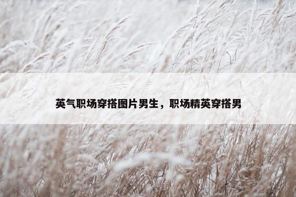 英气职场穿搭图片男生，职场精英穿搭男