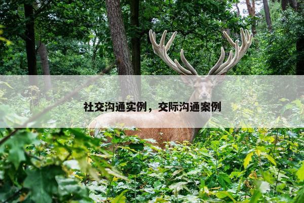 社交沟通实例，交际沟通案例