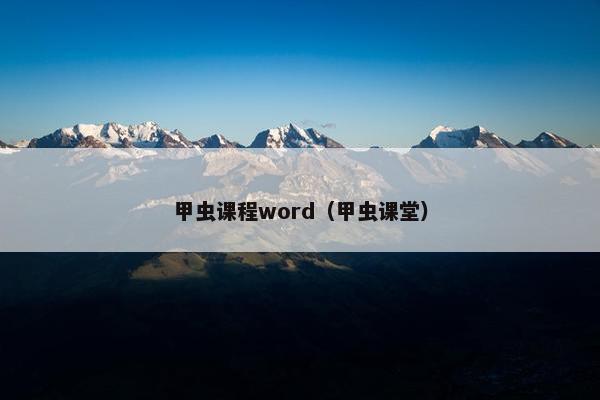 甲虫课程word（甲虫课堂）