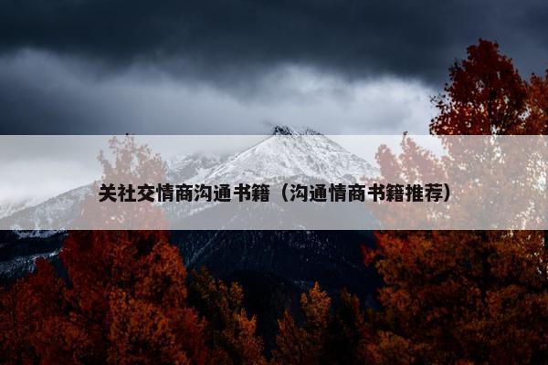 关社交情商沟通书籍（沟通情商书籍推荐）