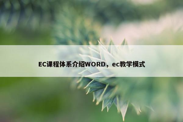 EC课程体系介绍WORD，ec教学模式