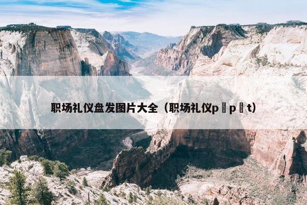 职场礼仪盘发图片大全（职场礼仪p p t）