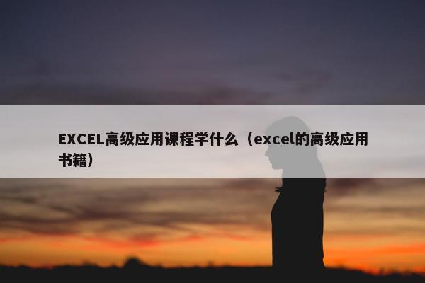 EXCEL高级应用课程学什么（excel的高级应用书籍）