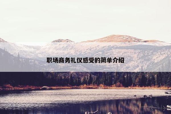 职场商务礼仪感受的简单介绍