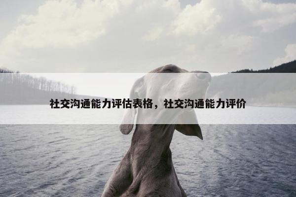 社交沟通能力评估表格，社交沟通能力评价