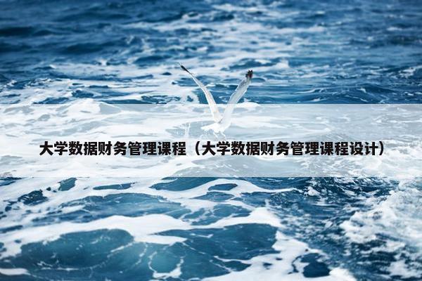 大学数据财务管理课程（大学数据财务管理课程设计）