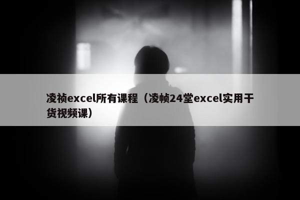 凌祯excel所有课程（凌帧24堂excel实用干货视频课）