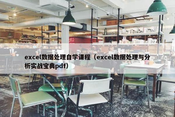 excel数据处理自学课程（excel数据处理与分析实战宝典pdf）
