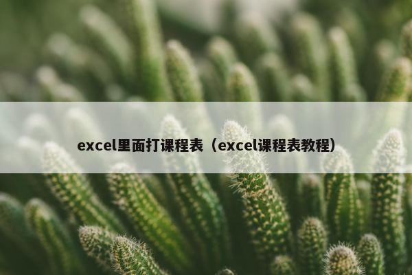 excel里面打课程表（excel课程表教程）