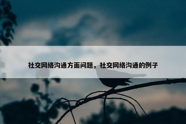社交网络沟通方面问题，社交网络沟通的例子