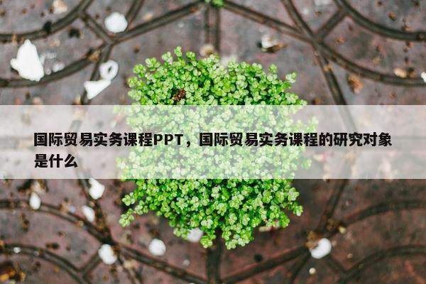 国际贸易实务课程PPT，国际贸易实务课程的研究对象是什么