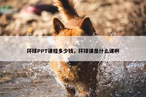 环球PPT课程多少钱，环球课是什么课啊