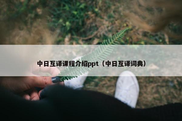 中日互译课程介绍ppt（中日互译词典）