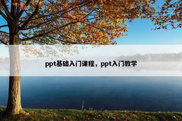 ppt基础入门课程，ppt入门教学