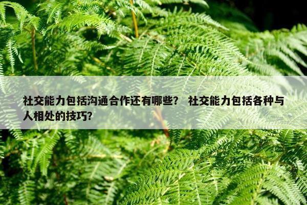 社交能力包括沟通合作还有哪些？ 社交能力包括各种与人相处的技巧？