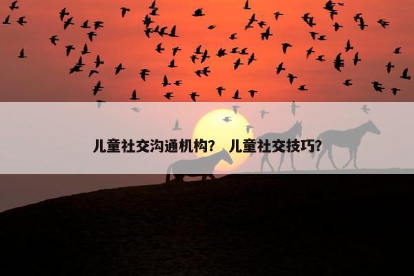 儿童社交沟通机构？ 儿童社交技巧？