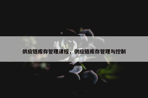 供应链库存管理课程，供应链库存管理与控制