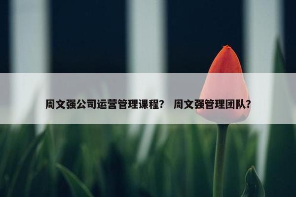 周文强公司运营管理课程？ 周文强管理团队？