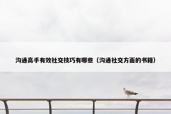 沟通高手有效社交技巧有哪些（沟通社交方面的书籍）