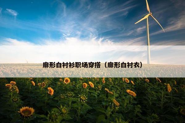 廓形白衬衫职场穿搭（廓形白衬衣）