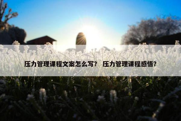 压力管理课程文案怎么写？ 压力管理课程感悟？