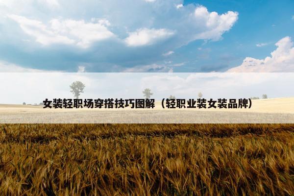 女装轻职场穿搭技巧图解（轻职业装女装品牌）