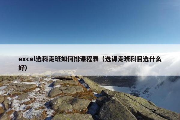 excel选科走班如何排课程表（选课走班科目选什么好）