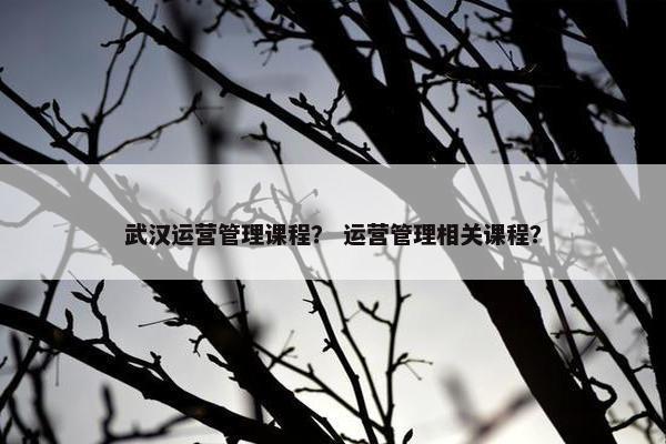 武汉运营管理课程？ 运营管理相关课程？