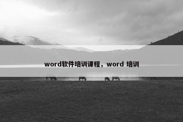 word软件培训课程，word 培训